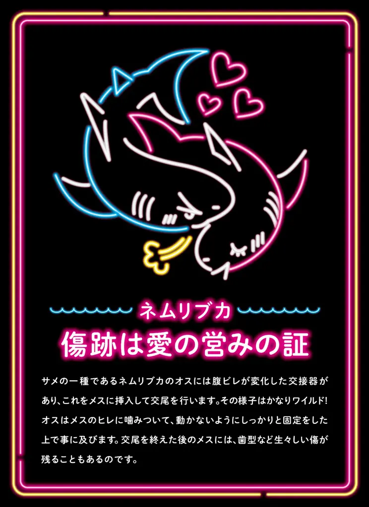 【詳細情報解禁】サンシャイン水族館 夜間特別営業 まだまだ♡性いっぱい展2026年 9月11日（金）～11月3日（火・祝） 画像 6