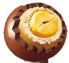発売59年のチョコボールが挑む“もちもち体験”！チョコではなく“もちもち食感”が主役の新シリーズ誕生「もちもちチョコボール＜金のきなこもち＞／＜ちょこもち＞」8月25日新発売“ 画像 5