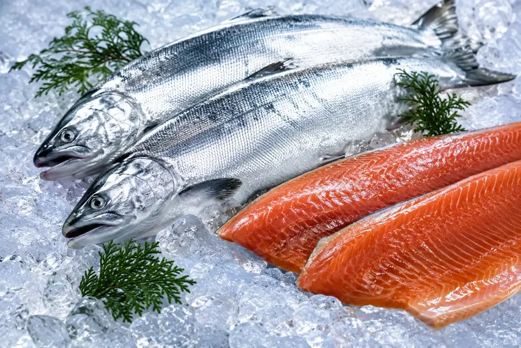 琵琶湖の宝石「天然ビワマス」を“生の切り身で後乗せ”。自宅で味わう焼き立て「窯焼きプレミアムグリーンピザ」、Makuakeにて先行販売開始 画像 2