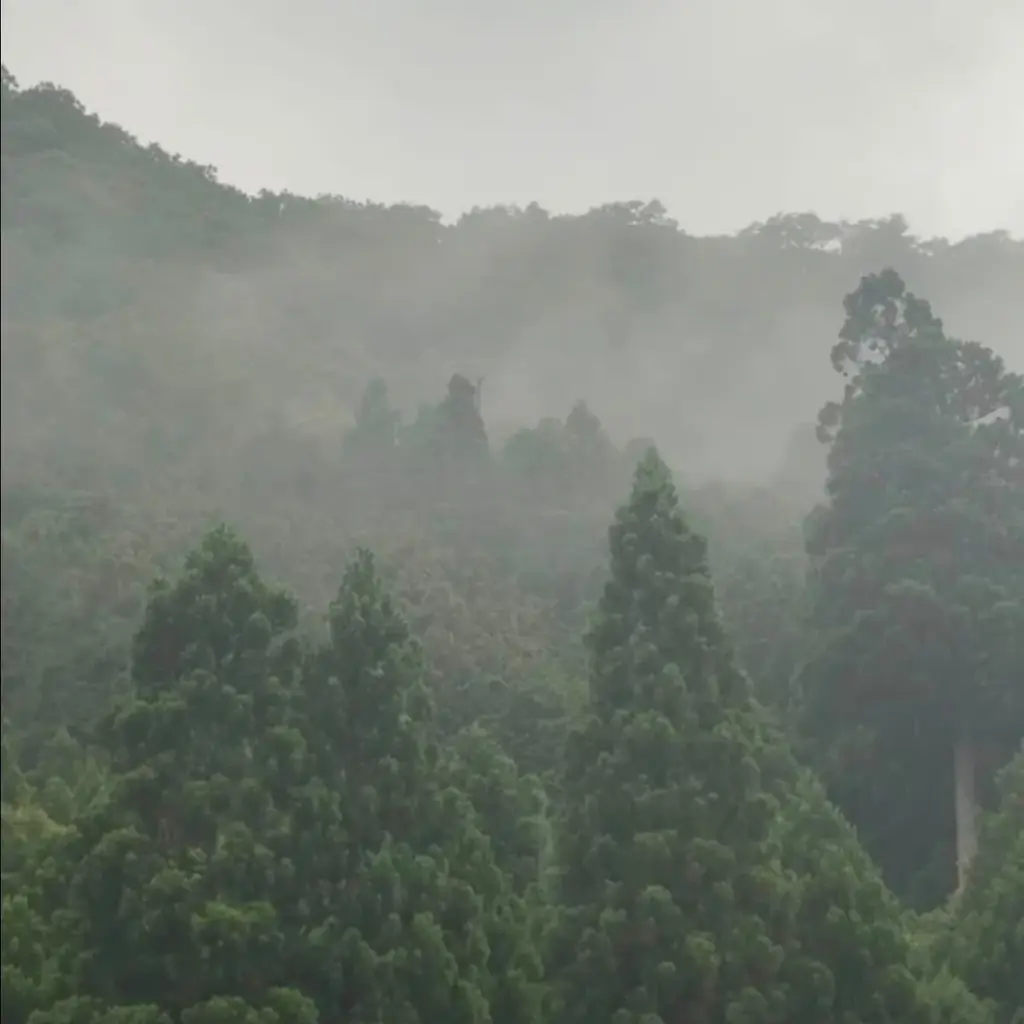 【新ブランド誕生】森の中、1日1組だけのオールインクルーシブヴィラ。滋賀・高島市朽木にNature Retreat「enBED」が2026年11月開業予定。 画像 3