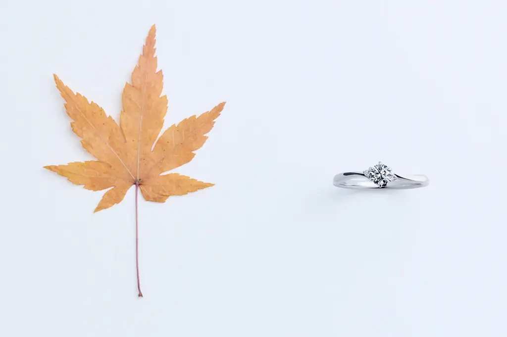 婚約指輪がセンターダイヤモンド込みで一律￥148,500！結婚指輪は価格が2種類に！BIJOUPIKO（ビジュピコ）が展開する四季を映すブライダルリングブランド「TOWA（トワ）」が生まれ変わる。 画像 11