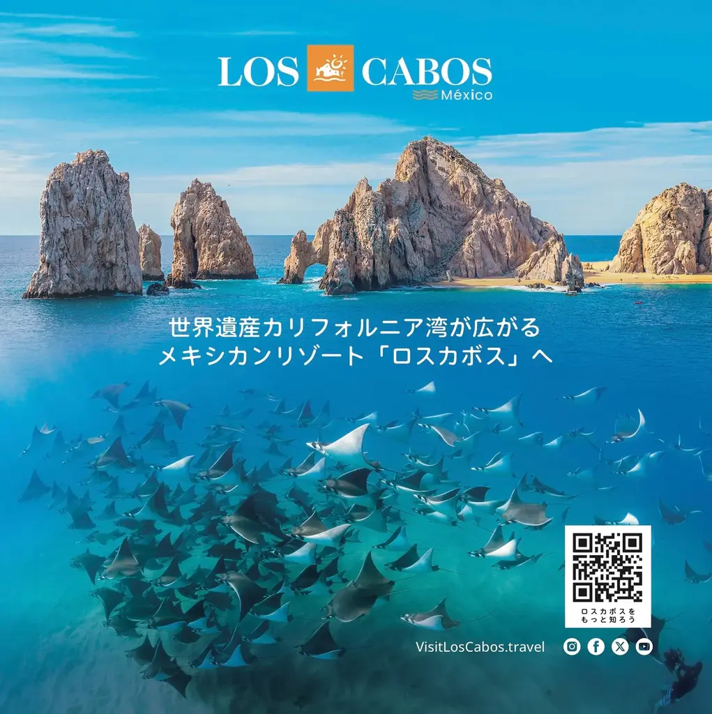 【カフェコムサ】メキシコ屈指のラグジュアリーリゾート「ロスカボス」産マンゴーのショートケーキを限定店舗で展開！ 画像 2
