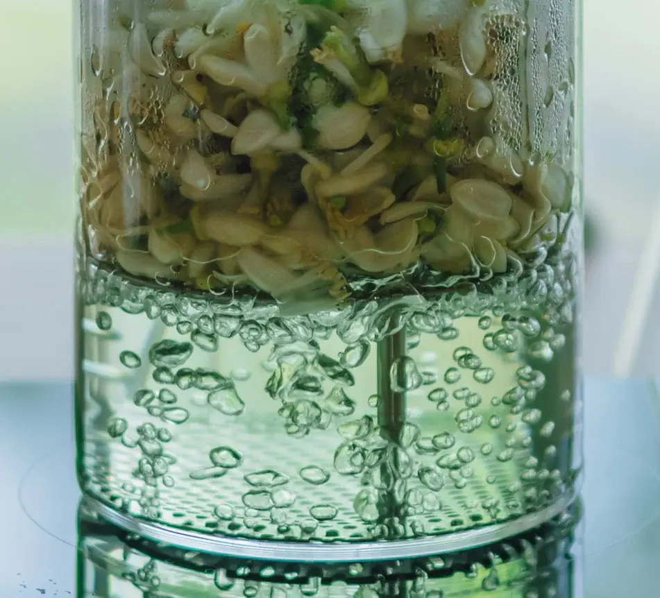 【庭のハーブを、自宅で蒸留】植物蒸留を身近にする家庭用植物蒸留器「SOMA（ソーマ）」誕生 画像 10