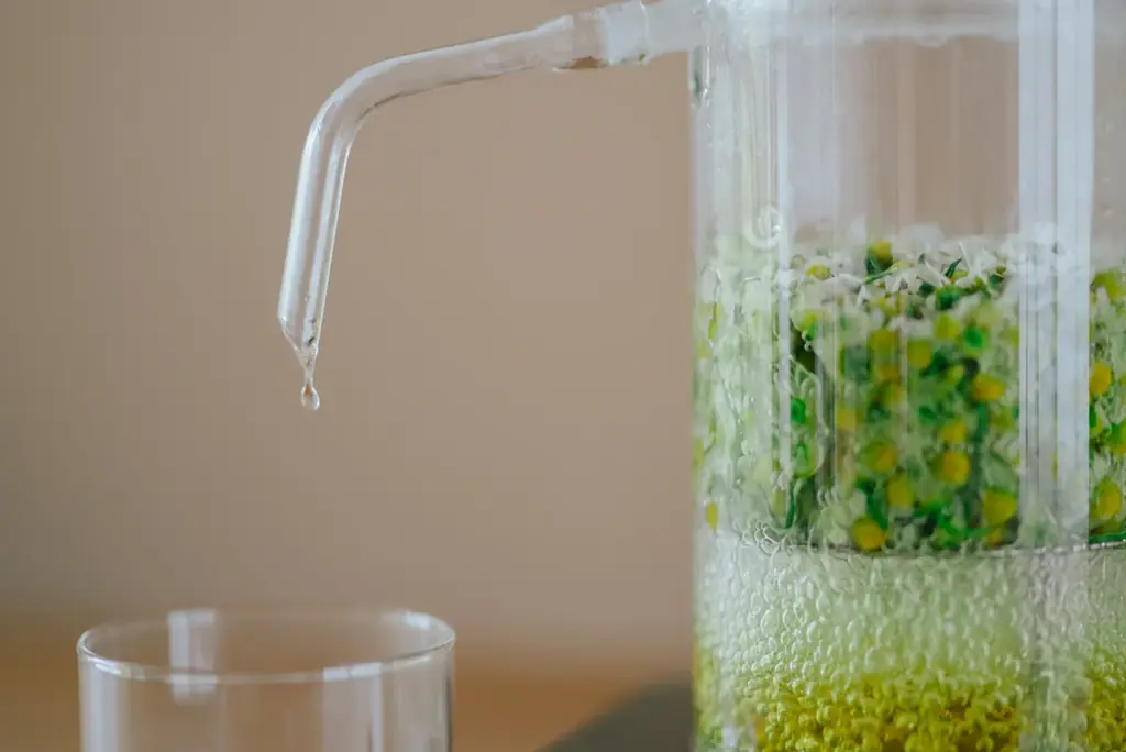 【庭のハーブを、自宅で蒸留】植物蒸留を身近にする家庭用植物蒸留器「SOMA（ソーマ）」誕生 画像 6