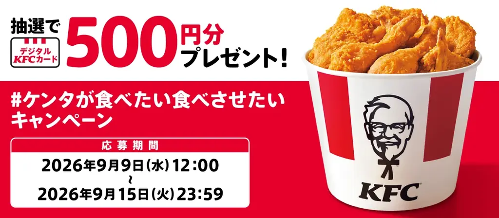創業者のカーネルが10年かけて編み出した唯一無二のオリジナルチキンがおトクに楽しめる！「カーネル生誕祭パック」8月26日(水)から9月15日(火)までの期間限定販売 画像 4