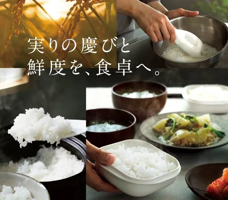 マーナの新米プレゼント：極シリーズと立つしゃもじで味わう体験