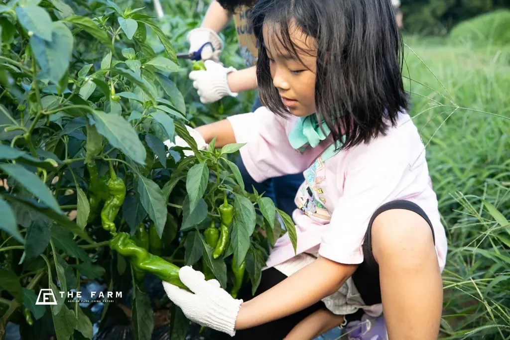 【泊まる、採る、ととのう、味わう】8月31日「野菜の日」、農園リゾートTHE FARMが“野菜尽くし”の4企画を実施｜千葉・香取 画像 4