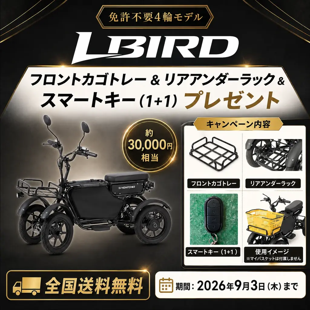 LBIRD予約でオプション3点＋全国送料無料