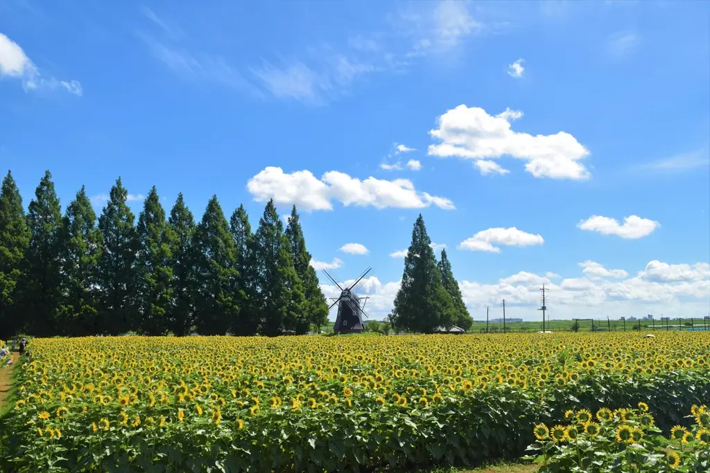 あけぼの山公園の滞在価値向上へ企業を募集