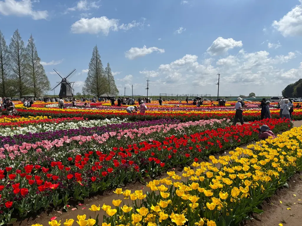 【千葉県柏市】あけぼの山公園を中心とした「地域の新しい価値」を共につくる企業を募集！サウンディング調査を実施 画像 2