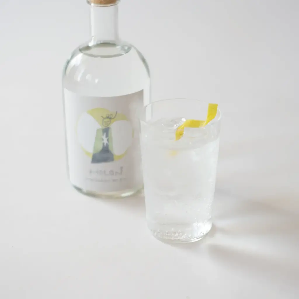 【新商品】コラボレーションジン「HOLON × Antonic MEDITATION DRY GIN」を2026年8月31日発売 画像 9