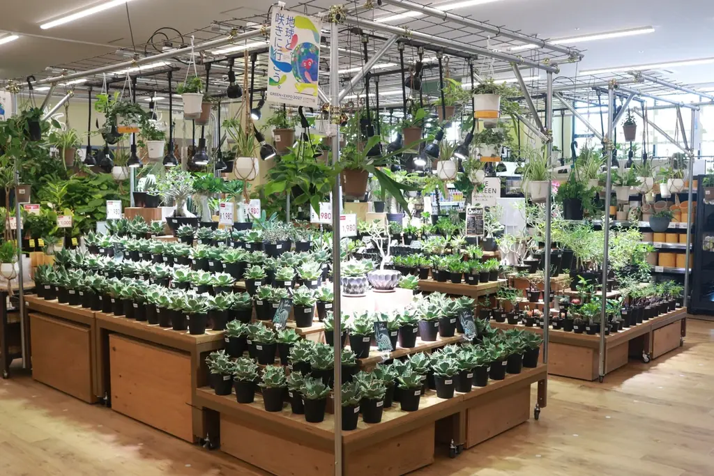 カインズ 鎌倉梶原店　2026年8月28日（金）いよいよグランドオープン 画像 14