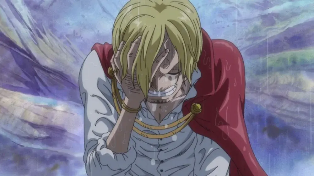 第2回「ONE PIECE」キャラクター世界人気投票「WORLD TOP 100」開催記念！“人気キャラクター特集”をABEMAのTVアニメ「ワンピース」チャンネルにて実施決定！ 画像 4