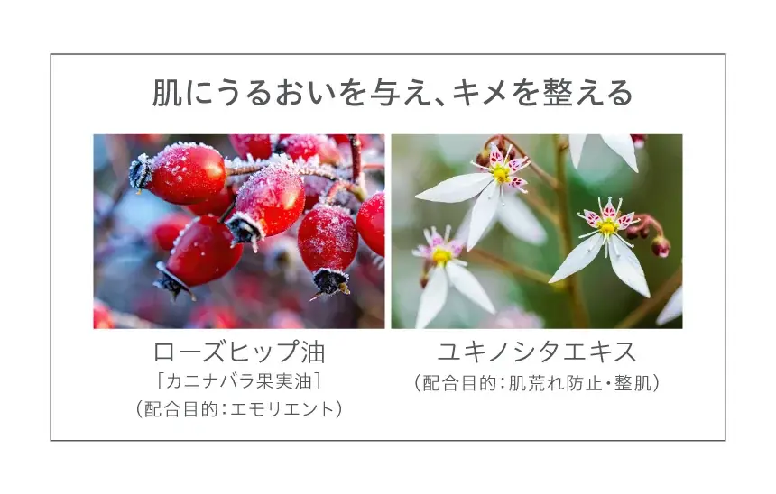 天然由来成分100％・スキンケアメイクブランド「Naturaglacé（ナチュラグラッセ）」ホリデーコレクション 数量限定発売 画像 10