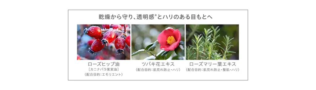 天然由来成分100％・スキンケアメイクブランド「Naturaglacé（ナチュラグラッセ）」ホリデーコレクション 数量限定発売 画像 13
