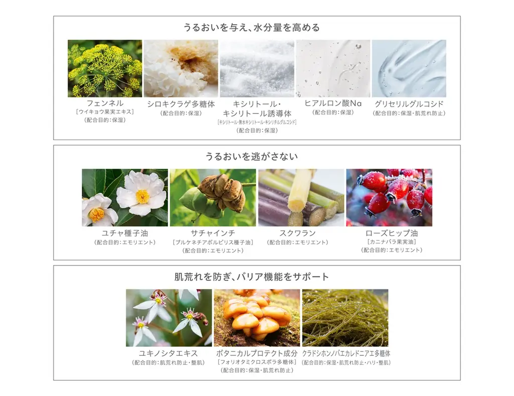 天然由来成分100％・スキンケアメイクブランド「Naturaglacé（ナチュラグラッセ）」ホリデーコレクション 数量限定発売 画像 4