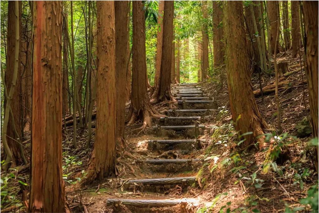 世界遺産・熊野古道から夏の秘境・秋の味覚まで！東紀州の「夏秋おすすめスポット＆絶品グルメ」のご案内 画像 7