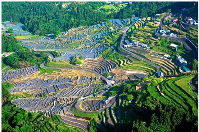 世界遺産・熊野古道から夏の秘境・秋の味覚まで！東紀州の「夏秋おすすめスポット＆絶品グルメ」のご案内 画像 8