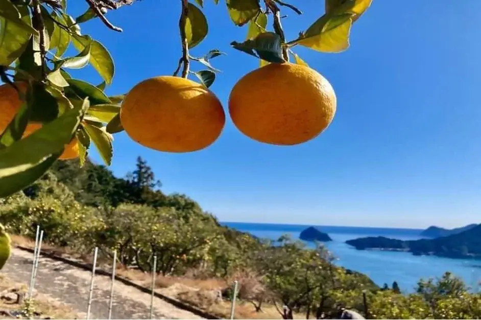 世界遺産・熊野古道から夏の秘境・秋の味覚まで！東紀州の「夏秋おすすめスポット＆絶品グルメ」のご案内 画像 9