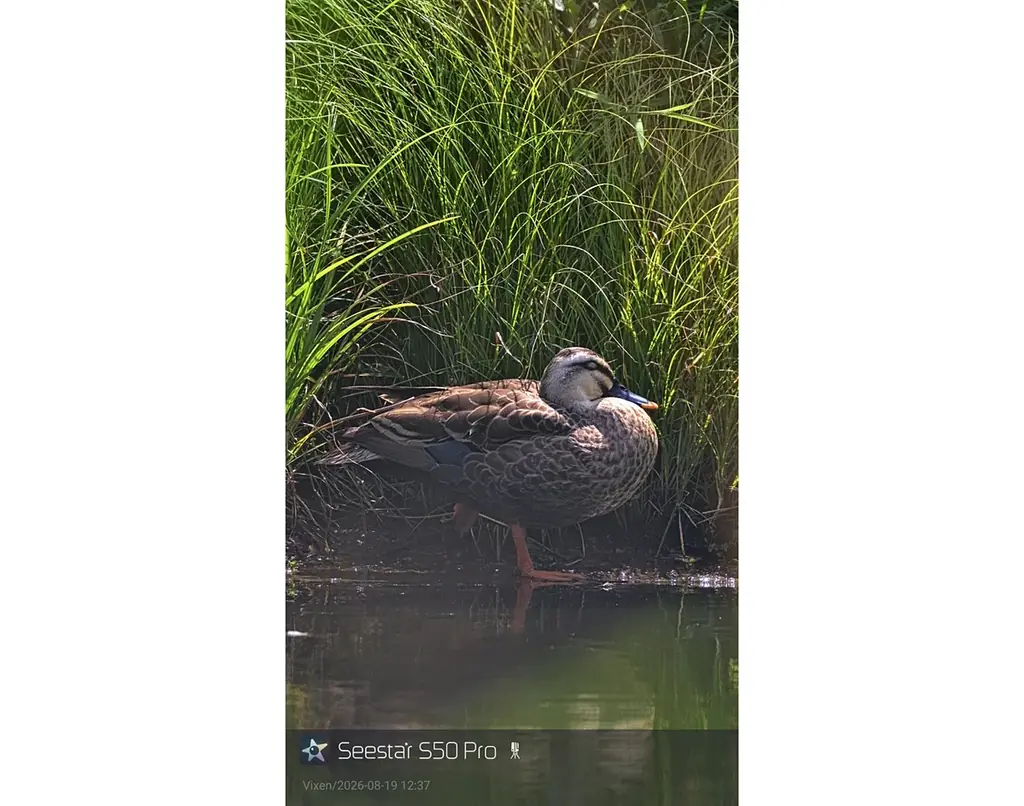 さらに精緻な描写を実現。星雲から天の川まで、この一台で。 スマート天体望遠鏡「Seestar S50 Pro」予約販売開始のお知らせ 画像 9