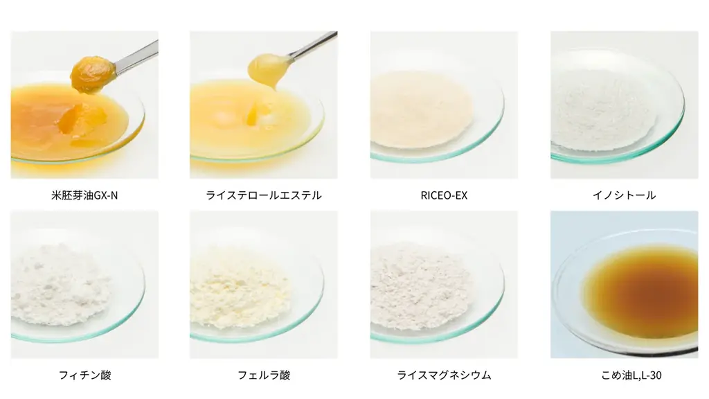 築野食品工業が食品開発展2026に出展米ぬか由来素材で「呈味改善・睡眠の質向上・女性の健康」に応える 画像 2