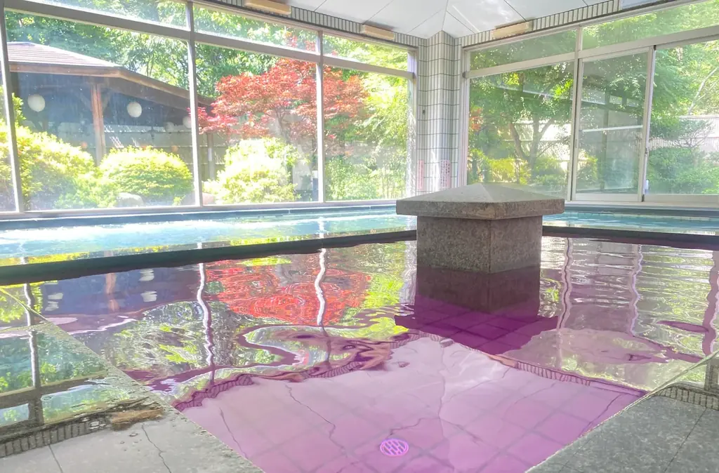 秩父湯元 武甲温泉が、小鹿野「両神山麓 花の郷 ダリア園」の開園に合わせ、温泉をお得に利用できるイベントを実施します 画像 3