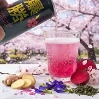【9/2-4】サウナ本体や設備、グッズが仕入れられる展示会「サウナフェア」をLIFE×DESIGNで開催! 画像 9