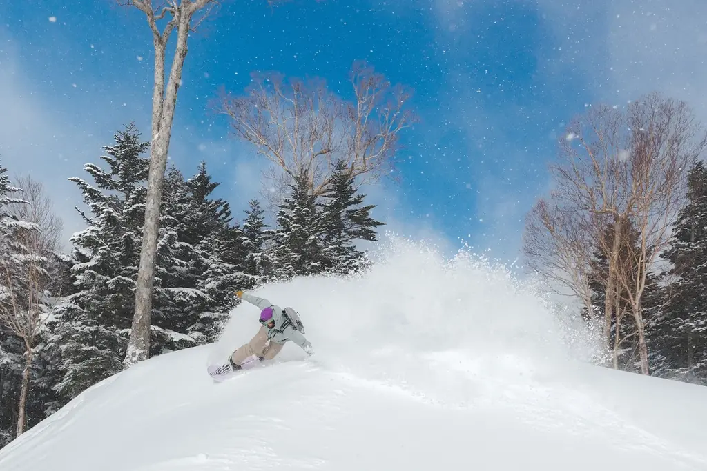 群馬県片品村「丸沼高原スキー場」と日本スキー場開発株式会社がアライアンス・パートナーリゾート契約を締結 画像 3