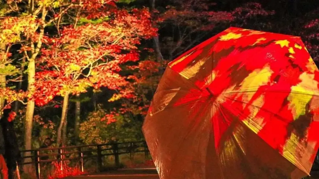 【北海道／層雲峡】夜は紅葉が灯りに染まる――日本一早い紅葉の名所・層雲峡温泉で楽しむ「奇跡のイルミネート」 画像 2