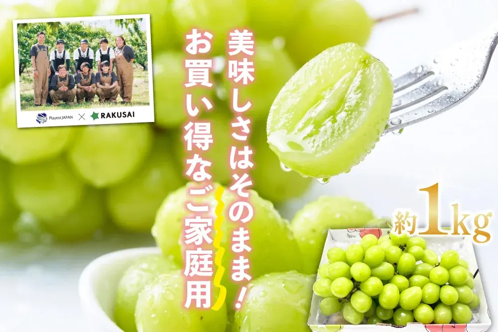 甲府盆地産シャインマスカット約1kgを訳あり特価で予約