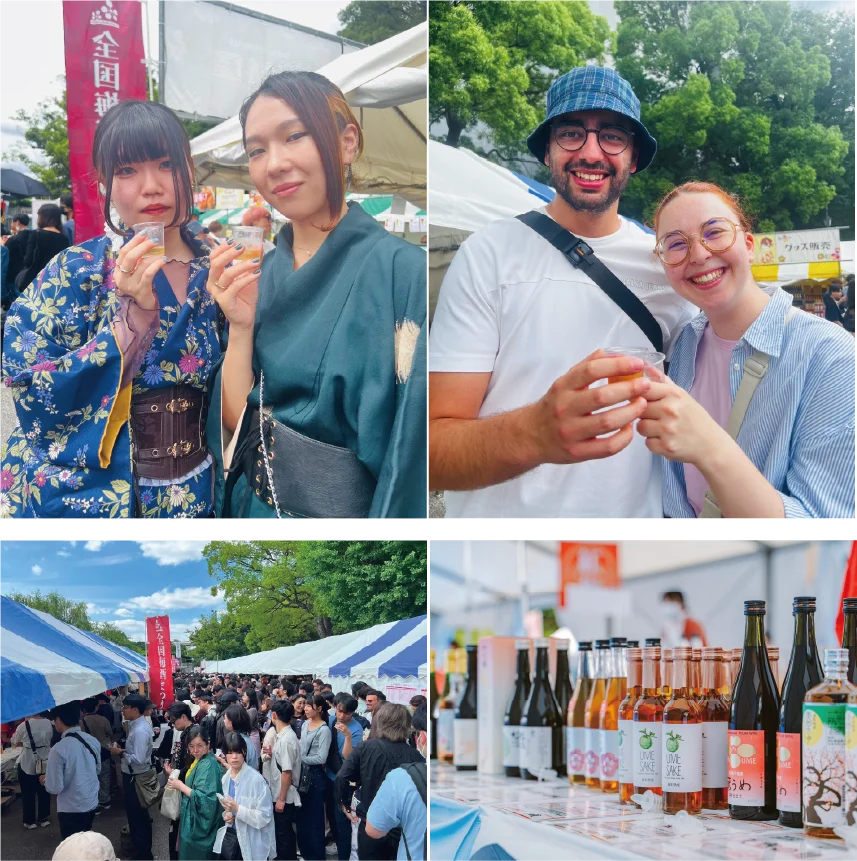全国の酒蔵から120種以上の梅酒が神奈川に集結！「全国梅酒まつりin横須賀2026」ヴェルニー公園で開催！ 画像 3