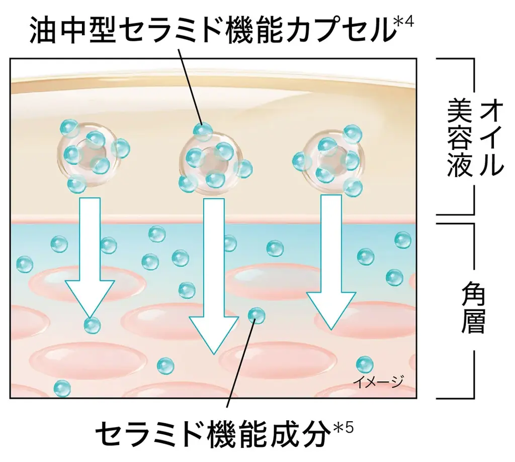 敏感肌用化粧品売上No.1*¹の「Curél（キュレル）」から、 過酷乾燥下のごわつき肌に向けた『定着保湿オイル美容液』が9月5日（土）より新発売！ 画像 6