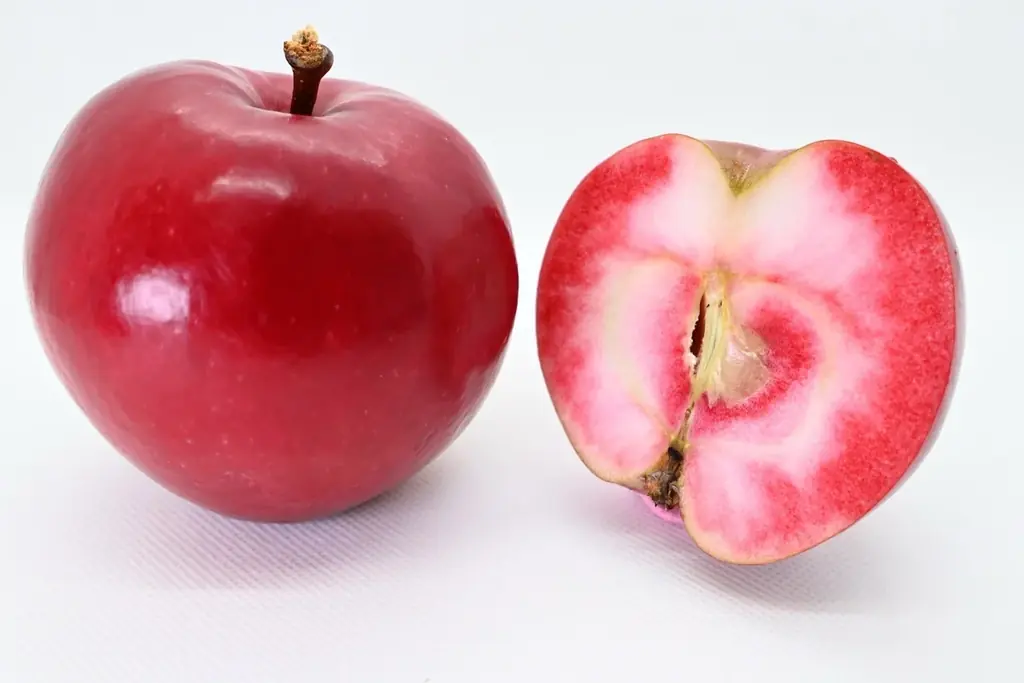 【本日受付開始】30品種のりんごを5か月で食べ比べ。Apple Pockets「全種コンプリート頒布会」を9月1日より開始 画像 3
