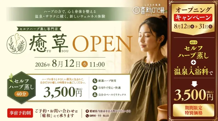 愛媛を沸かせ！サウナフェス2027にて全国からアウフギーサーを大募集 画像 7