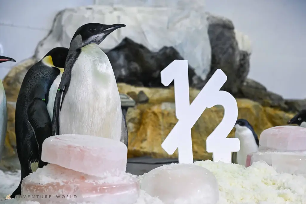 コウテイペンギンのこども「よよちゃん」が、１歳を迎えます！絶滅危惧種の小さないのちが、皆様に見守られ成長した３６５日の記録 〜１歳の誕生日を祝う特別イベントを開催！～ 画像 5