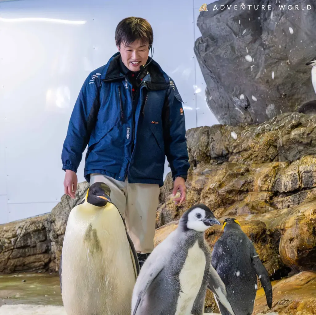 コウテイペンギンのこども「よよちゃん」が、１歳を迎えます！絶滅危惧種の小さないのちが、皆様に見守られ成長した３６５日の記録 〜１歳の誕生日を祝う特別イベントを開催！～ 画像 7