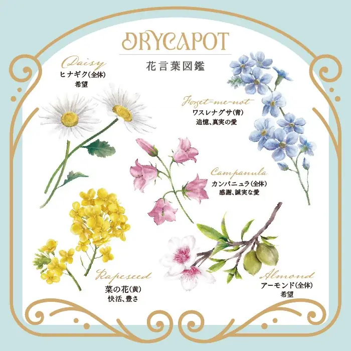 【神戸風月堂】レスポワール誕生50周年。パッケージ全面リニューアル、9月16日（水）より発売。 画像 11