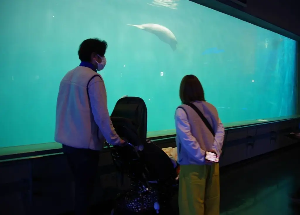 【三重・鳥羽旅館組合×鳥羽水族館】冬の夜の水族館を貸し切り！宿泊者限定「ナイトアクアリウム」12月開催決定！ 画像 3
