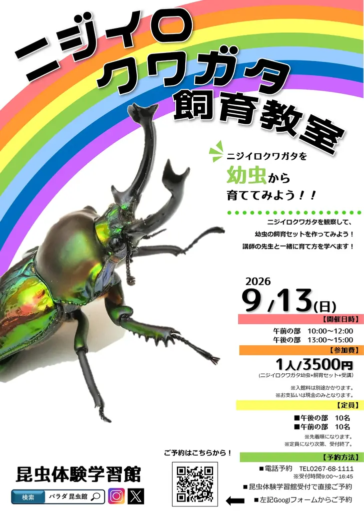 9月13日開催　ニジイロクワガタ飼育教室で幼虫を育てる