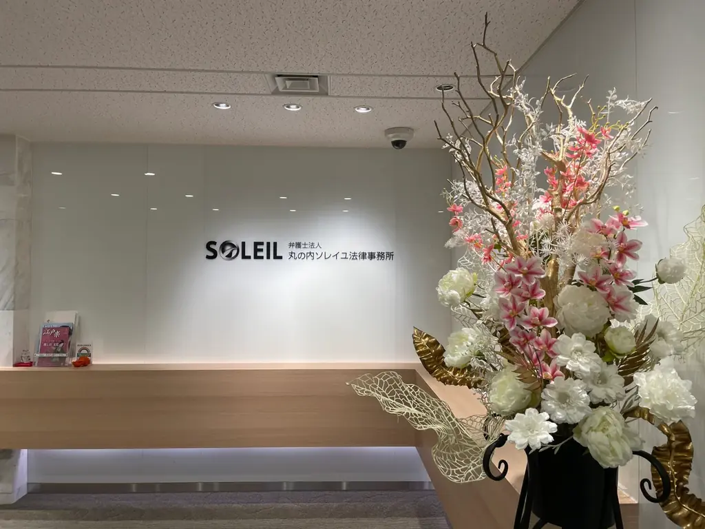弁護士法人丸の内ソレイユ法律事務所、AI広告審査サービス「AI AD CHECK “SOLEIL VIEW”」の提供を開始｜9月16日に無料オンラインセミナー開催 画像 6