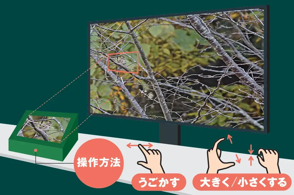2026 秋の企画展「デジタルでみる 東京自然いきもの展」 画像 2