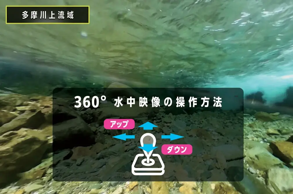 2026 秋の企画展「デジタルでみる 東京自然いきもの展」 画像 3