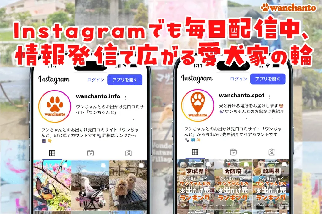 ドッグフレンドリーな店舗・施設・イベントなどの各種事業を無料でPR！愛犬家2,000人超が登録する「ワンちゃんと」が事業者向けページ開設機能を公開 画像 4
