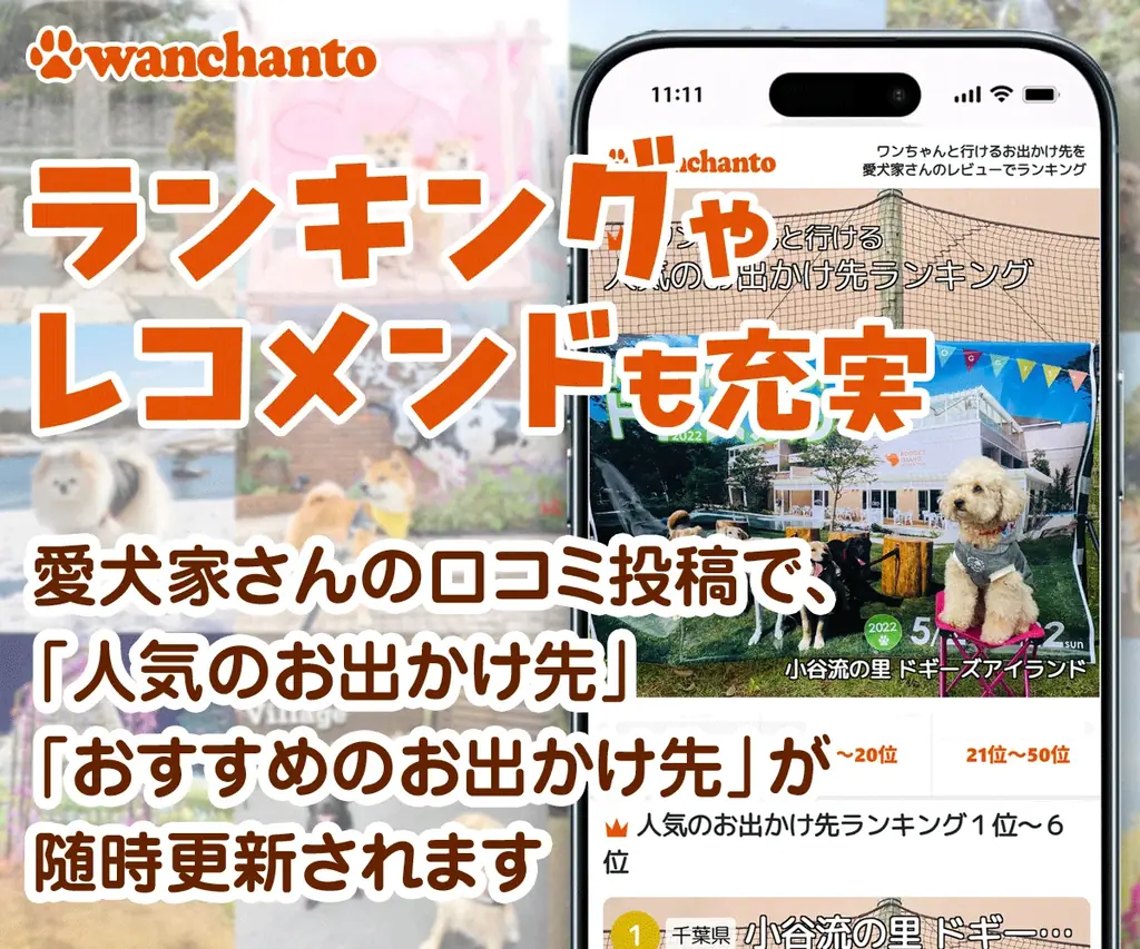 ドッグフレンドリーな店舗・施設・イベントなどの各種事業を無料でPR！愛犬家2,000人超が登録する「ワンちゃんと」が事業者向けページ開設機能を公開 画像 8
