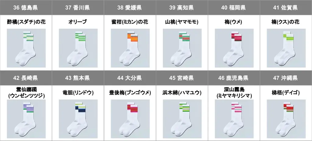 45周年の感謝を全国へ！47都道府県ご当地デザインの「ラインソックス」「ステッカー」が9月4日（金）から発売　地元や旅先で集めたくなる、ここでしか買えない限定デザイン 画像 7