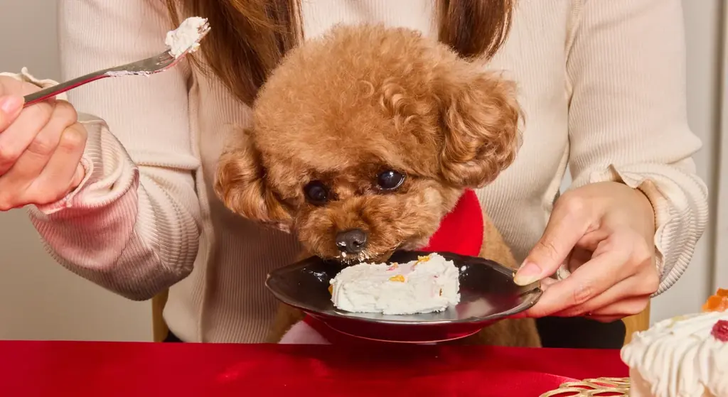 愛犬と家族で楽しむ、特別な年末年始のごちそうセット「Xmas New year set」を数量限定で9月4日（金）より予約開始 画像 3