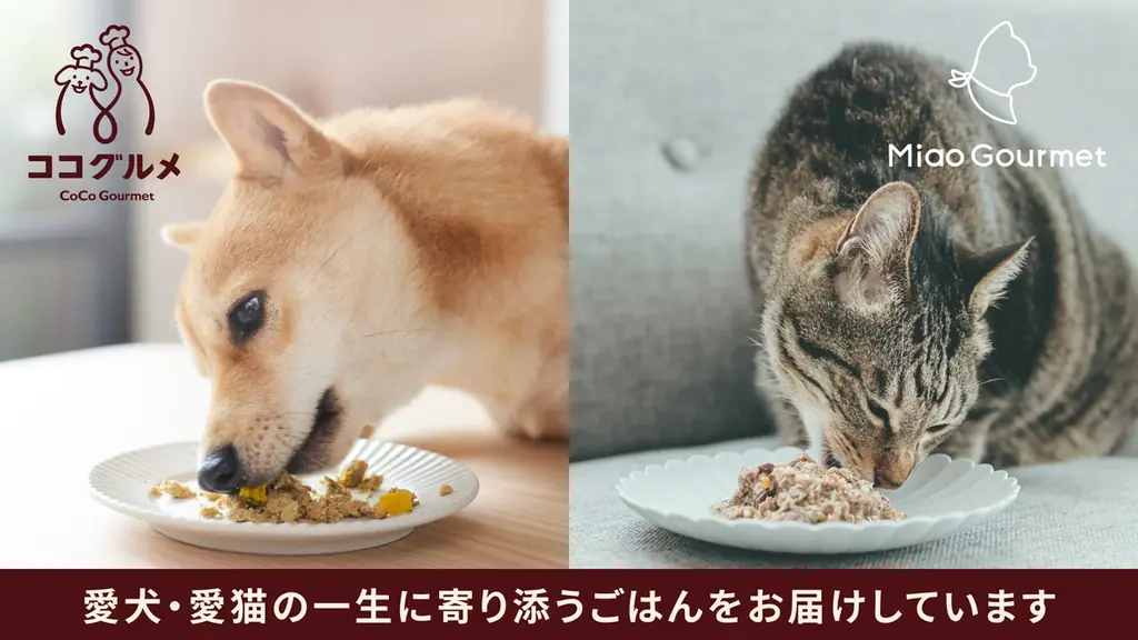 愛犬と家族で楽しむ、特別な年末年始のごちそうセット「Xmas New year set」を数量限定で9月4日（金）より予約開始 画像 6