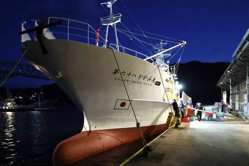初水揚げ 14.8トン～境港に今シーズン初のベニズワイガニ！、岸壁に鮮やかな“紅”がずらり　“蟹取県”のカニシーズン本番到来 画像 3