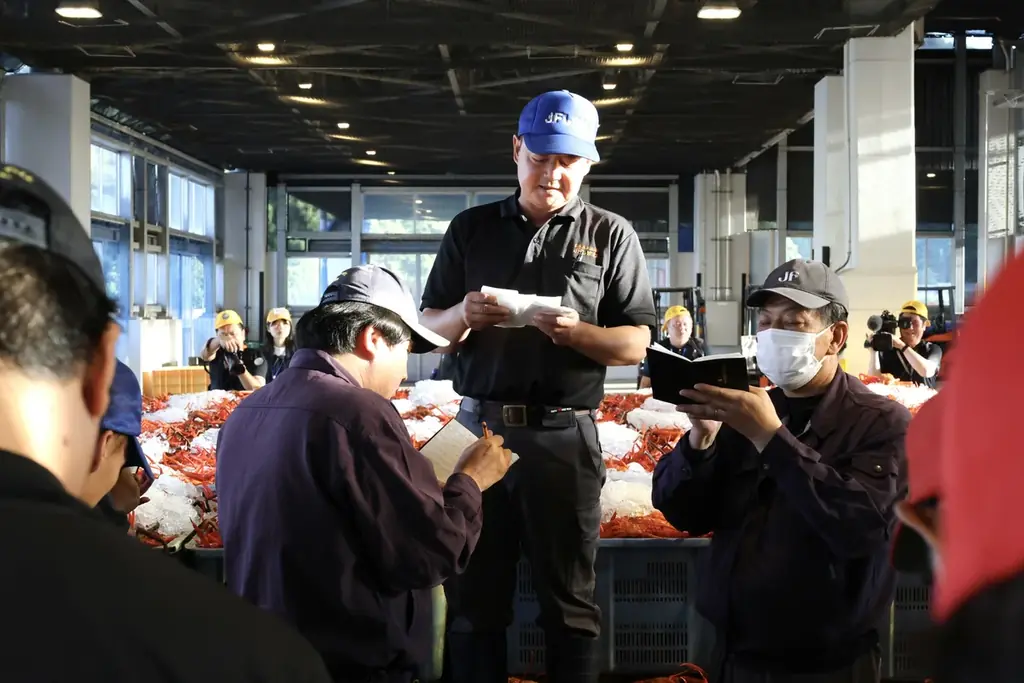 初水揚げ 14.8トン～境港に今シーズン初のベニズワイガニ！、岸壁に鮮やかな“紅”がずらり　“蟹取県”のカニシーズン本番到来 画像 5