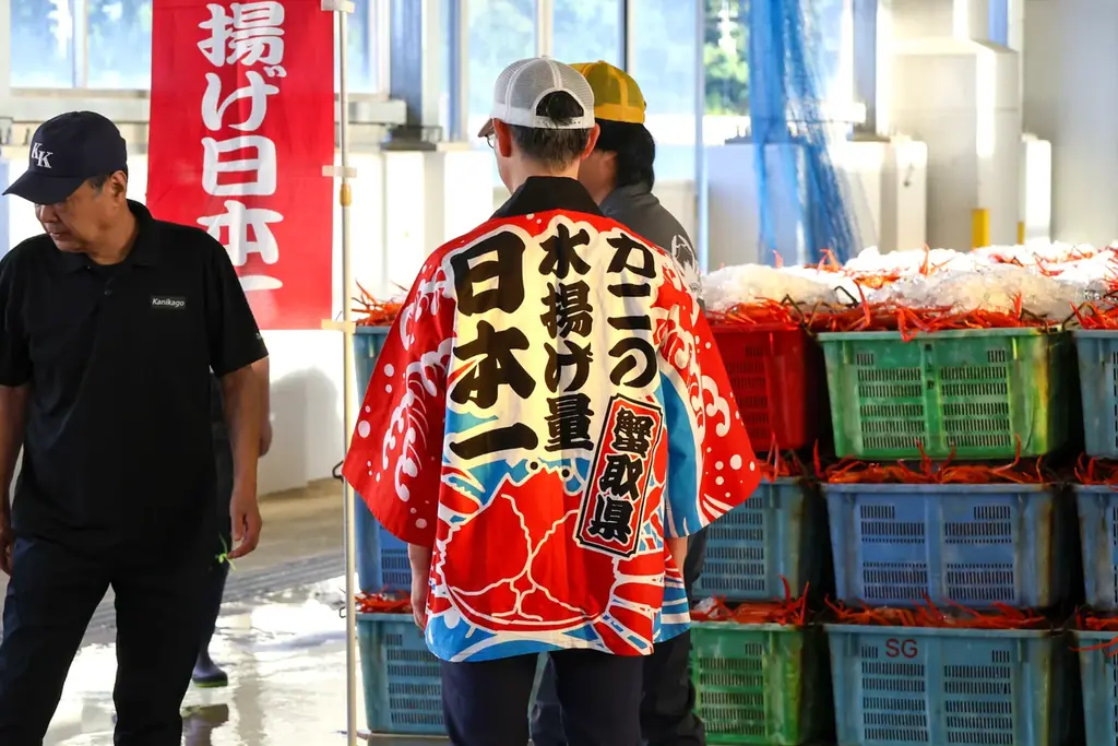 初水揚げ 14.8トン～境港に今シーズン初のベニズワイガニ！、岸壁に鮮やかな“紅”がずらり　“蟹取県”のカニシーズン本番到来 画像 8